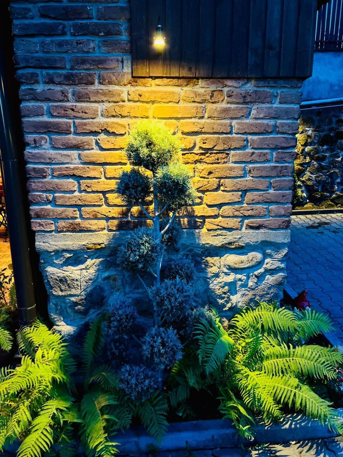 Bed and Breakfast Nagy-Homorod Etterem Es Panzio Rares Exteriér fotografie
